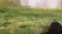 Клятва 1 сезон 50 серия