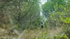 Клятва 3 сезон 265 серия