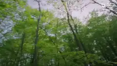 Клятва 3 сезон 485 серия